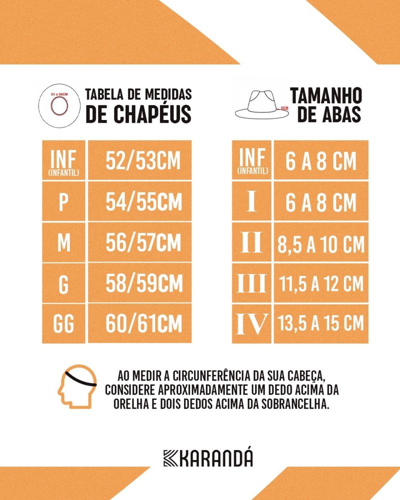 CHAPÉU C VIOLEIRO ESPECIAL AN ABA G